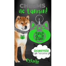 Petjoo 18.Cheems Yeşil-Gri Qr'lı Köpek Künyesi