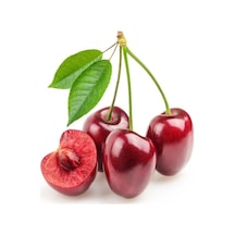 Tüplü Lezzetli ve Aromalı Bing Kiraz Fidanı