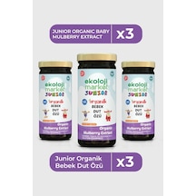 Organik Bebek Dut Özü 290 Gr 3 Lü Paket Organic Baby Mulberry Extract 290 Gr 3 Pack 290 G