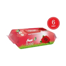 Sleepy Gül Kokulu Islak Bebek Havlusu 6 X 90'Lı