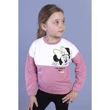 Toontoy Kız Çocuk Garnili Baskılı Sweatshirt Gülkurusu