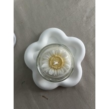 Adena Kokulu Kavanoz Mum 50 x 22