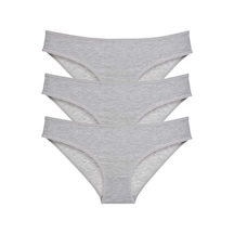 3 Adet Süper Eko Set Likralı Kadın Slip Külot Gri Mudanis