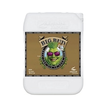 Advanced Nutrients Big Bud Coco 10 Litre Bitki Hasat Arttırıcı 10 L