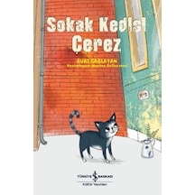 Sokak Kedisi Çerez - Vzqg-762027