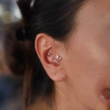 Yılan Tragus Piercing Rose