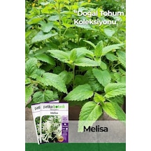 50 Adet Melisa/limon Oğulotu Tohumu Melissa Officinalis - Lemon Balm
