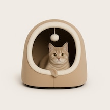Alaska Model Kedi Evi
