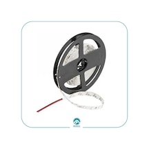Cata 10 Cip CT-4480-CT4481 Şerit Led 5 M
