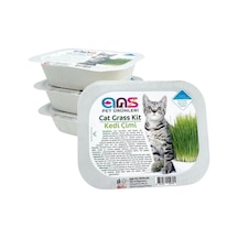 Ans Kedi Çimi 1 Paket