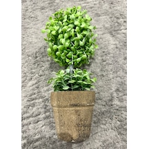 Dekoratif Saksılı Yapay Şimşir - 24 Cm - Bakım Gerektirmeyen Taze & Yeşil Ev Ofis Dekoru Yeşil