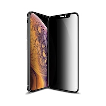 Apple Uyumlu   iPhone X / Xs Hayalet Privacy Gizli Cam Ekran Koruyucu Siyah