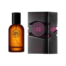Ostwint Blue Drop Mustang Erkek Parfüm EDT 100 ML
