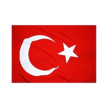 Lona Sanat Tekne Bayrağı 30 45 5'li