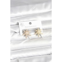 Pirinç Gümüş Renk Kutup Yıldızı Kadın Küpe Tj-bkp11392 Tdrtr