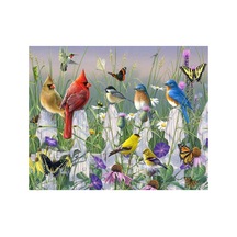 Kuş Cenneti Çerçeveli 50x65 Sayılarla Boyama Hobi Seti