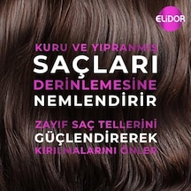 Şampuan Ve Castor Oil Nemlendirici Etki 400 Ml