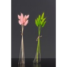 Pembe - Yeşil