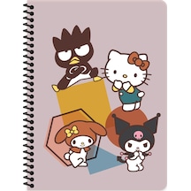 Hello Kitty And Friends 16,5 22,5 Çizgili Spiralli Karton Kapak Defter - Mor Mor