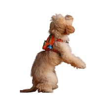 Design, Turuncu, Çantalı Göğüs Tasması, Köpek Sırt Çantası 2 Si 1 Arada Göğüs Tasması Fonksiy