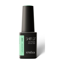 Kinetics Shield Gel Polish Kalıcı Oje Reconnect 428 15ml