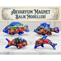 Balık Koleksiyon