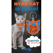 Petjoo 2.Nyan Cat Mavi-Turuncu Qr'lı Kedi Künyesi