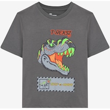Skechers Graphic Tee B Short Sleeve Büyük Erkek Çocuk Gri Tshirt Sk241093-035