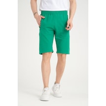 Mint Yeşili