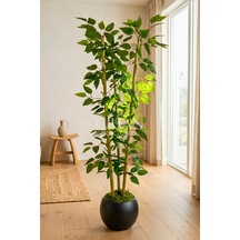 Yapay 3 Bambulu Benjamin Ağacı 110 Cm - 27 33 Siyah Küre Saksılı Beyaz