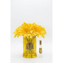 Renkli Vazo Gold Gerbera 8 Li Rose 34812676