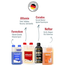 4'lü Set Caradox + Farmatom + Alfamin + Neftor 500 Ml
