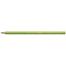 Faber Castell Polychromos Artist Kuru Boya Kalemi 170 May Green