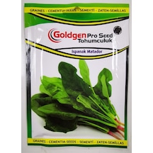 Goldgen Pro Seed Ispanak Matador