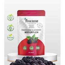 Freezeva Dondurularak Kurutulmuş Böğürtlen 20 Gr - Freeze Dried Böğürtlen Kuru Meyve Cipsi 20 G
