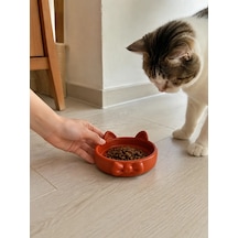 Papyon Model Beton Kedi Köpek Mama Ve Su Kabı 16 Cm Çap - Kiremit
