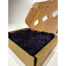 Reindermoss Şoklanmış Norveç Yosunu Terarium Yosunu Siyah 100 Gr.