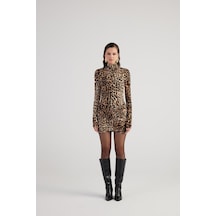 Holly Lolly Leopar Desenli Balıkçı Yaka Mini Britney Elbise Kahve