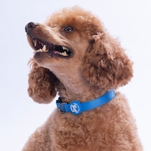 Mavi Köpek Boyun Tasması Ayarlanabilir Köpek Tasması M