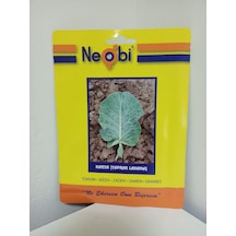 Neobi Kara Yaprak Lahana Tohumu 10 Gr 1 Adet