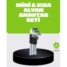 Hepsi 9 Parça Alyan Anahtar Seti Bisiklet Mobilya Ve Otomotiv Uyumlu Najmaddin