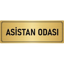 Metal Yönlendirme Levhası, Departman Kapı İsimliği Asistan Odası 10x20 cm Altın Renk