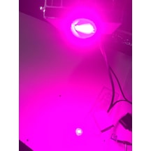 50 WATT Bitki yetiştirme lambası