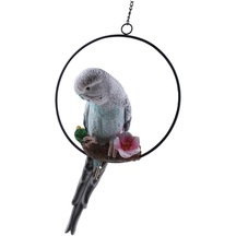 Suntek Reçine Papağan Muhabbet Kuşu Kuş Yüzüklü-mavi