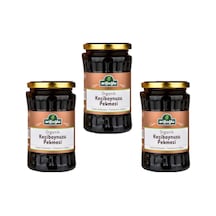 Arifoğlu Organik Keçiboynuzu Pekmezi 3 x 480 G