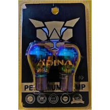 Sm Motors Diadem Ampul 12 V 2 Adet Smdi1