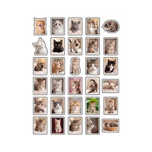 30 Adet Estetik Yavru Kedi Sticker Seti - Laptop Defter Telefon Ajanda Çok Renkli