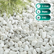 Beyaz Taş 2-4cm Dolomit Taşı Bahçe Süs Akvaryum Taşı Dere Çakıl Taşı 5 Kg