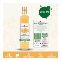 Sandaloz Sakızlı Sirke / 250 Ml Çok Keskin