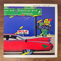 Larry Lee Marooned